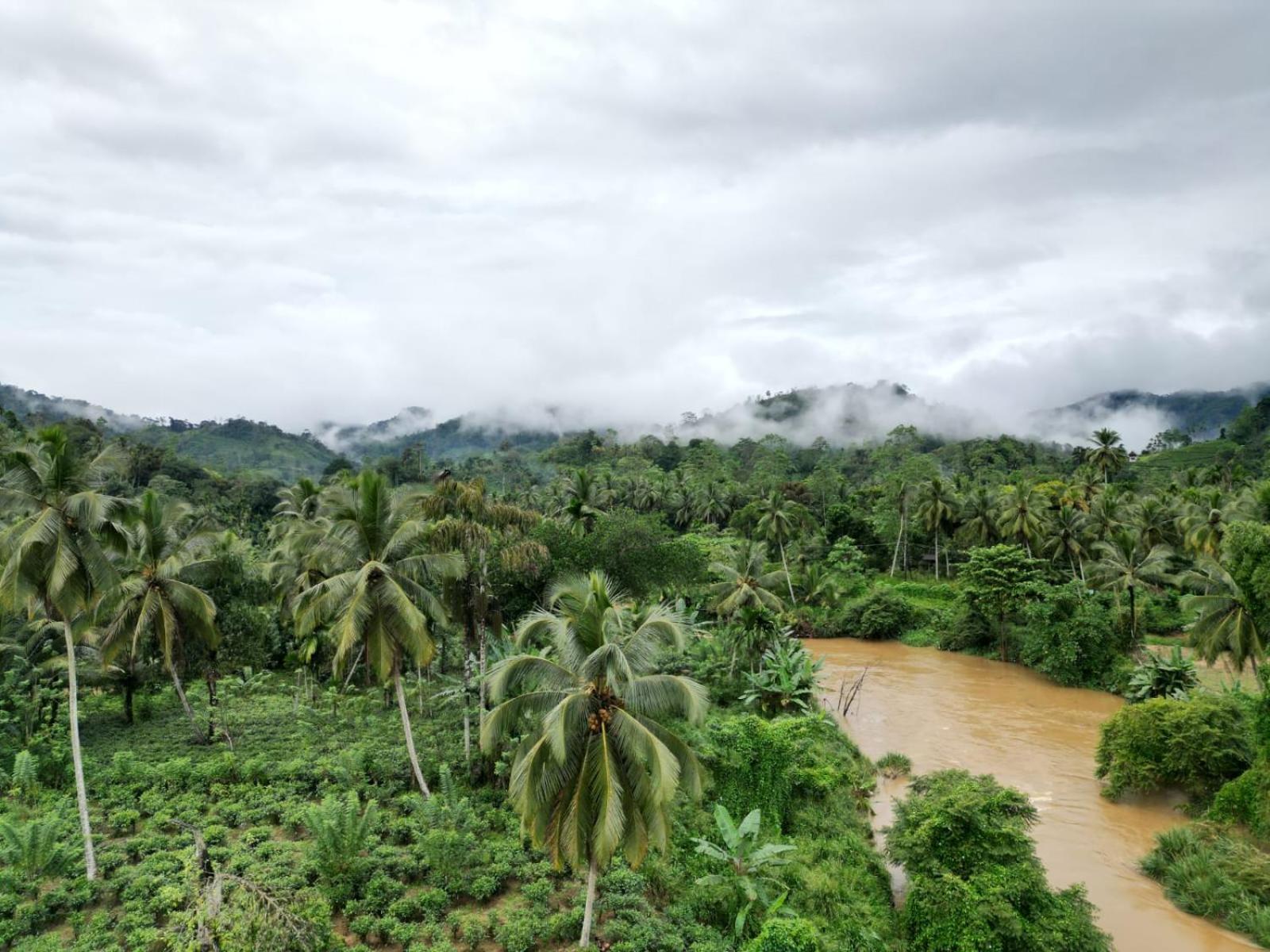 Sinharaja Hostel 114 Deniyaya Bagian luar foto