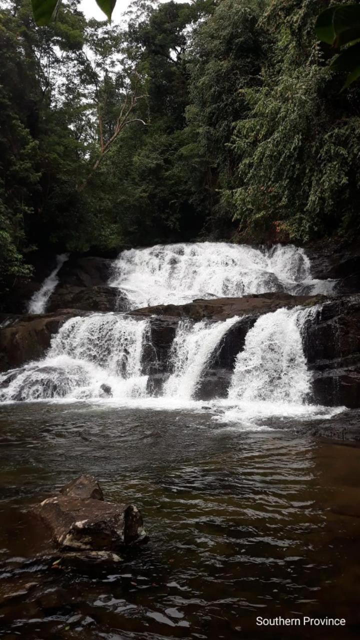 Sinharaja Hostel 114 Deniyaya Bagian luar foto