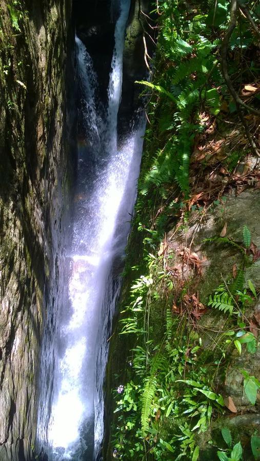 Sinharaja Hostel 114 Deniyaya Bagian luar foto