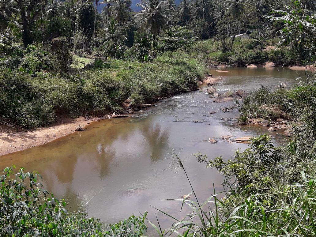 Sinharaja Hostel 114 Deniyaya Bagian luar foto