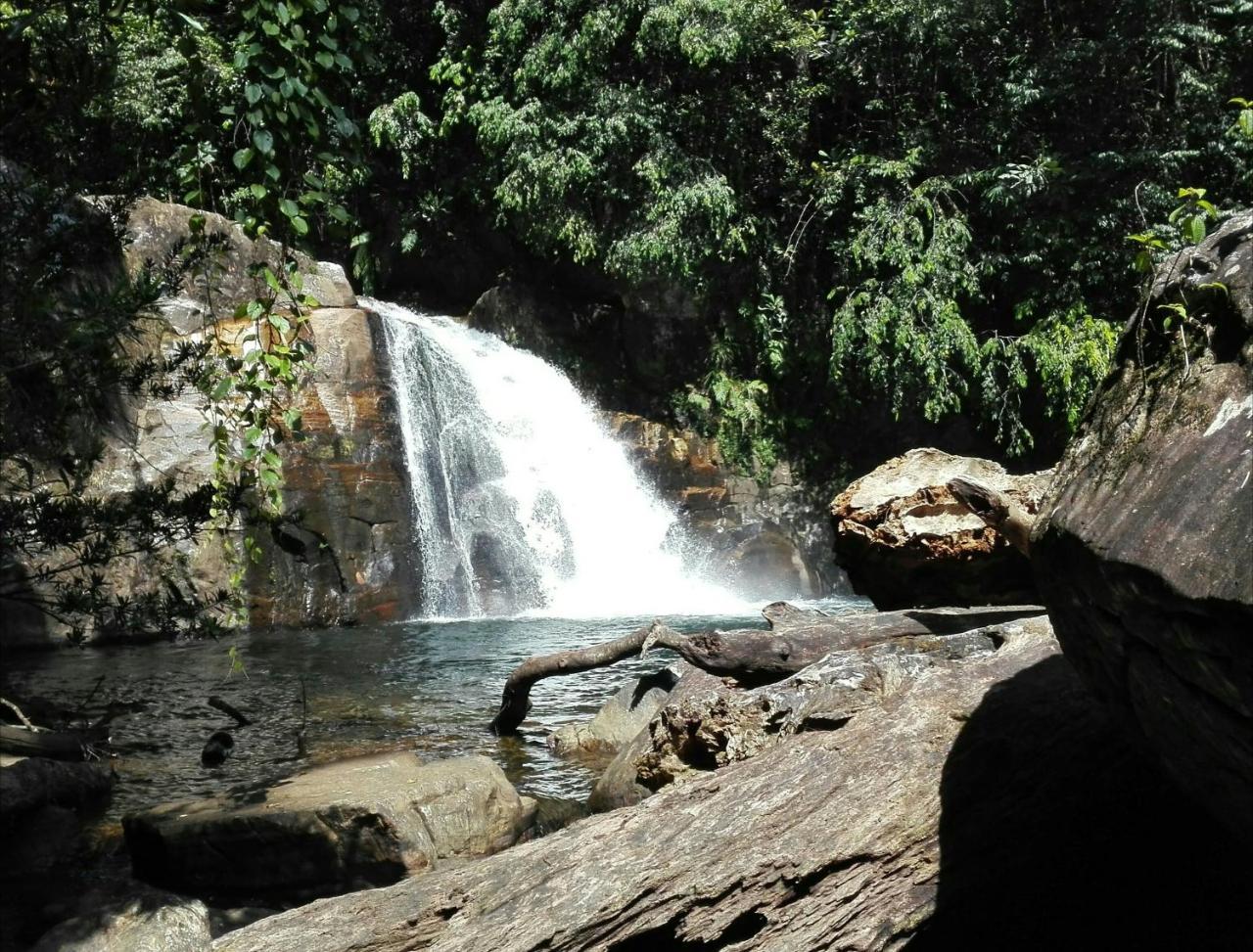Sinharaja Hostel 114 Deniyaya Bagian luar foto