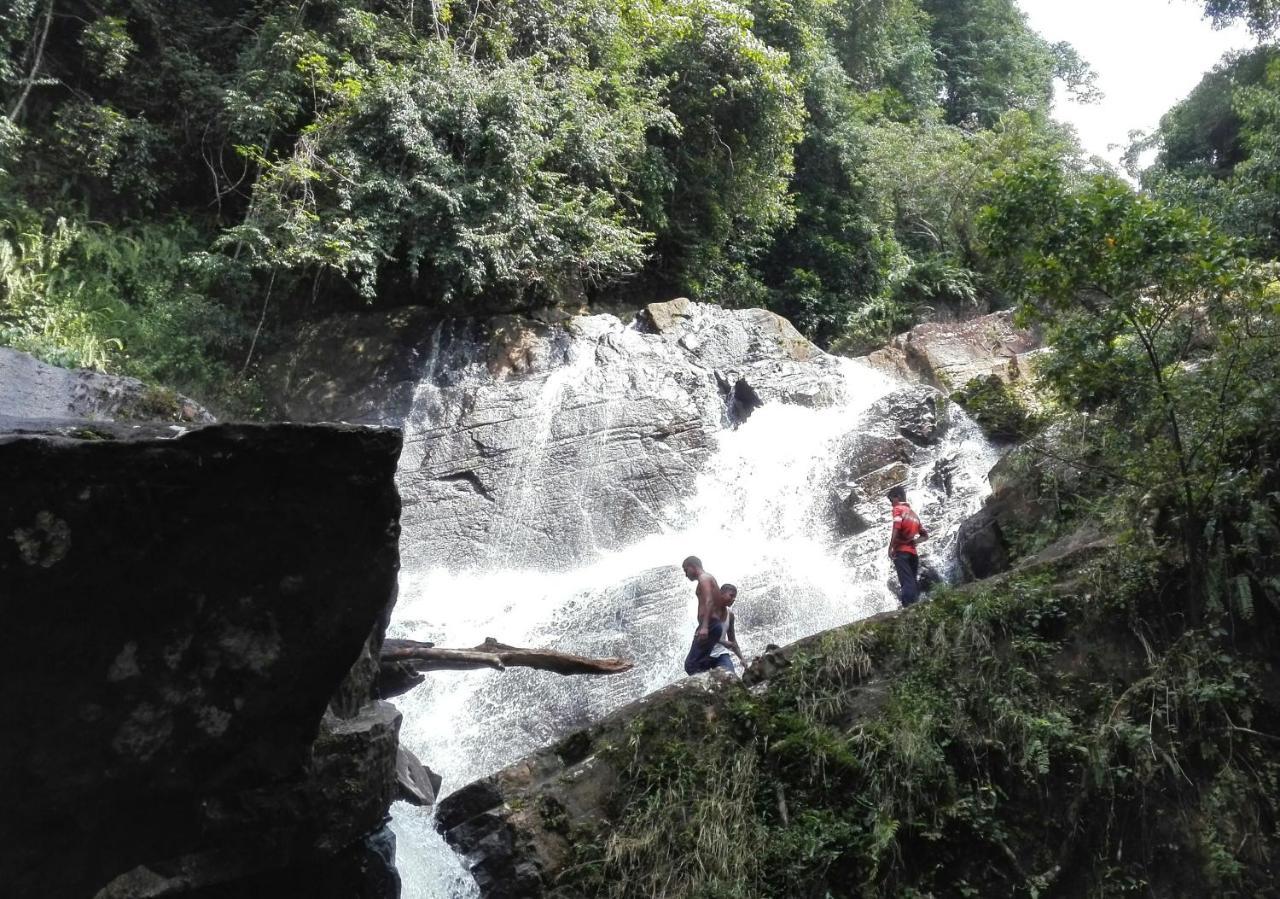 Sinharaja Hostel 114 Deniyaya Bagian luar foto