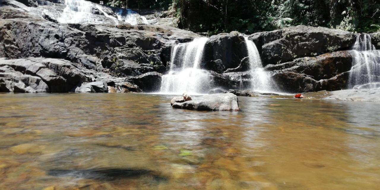 Sinharaja Hostel 114 Deniyaya Bagian luar foto