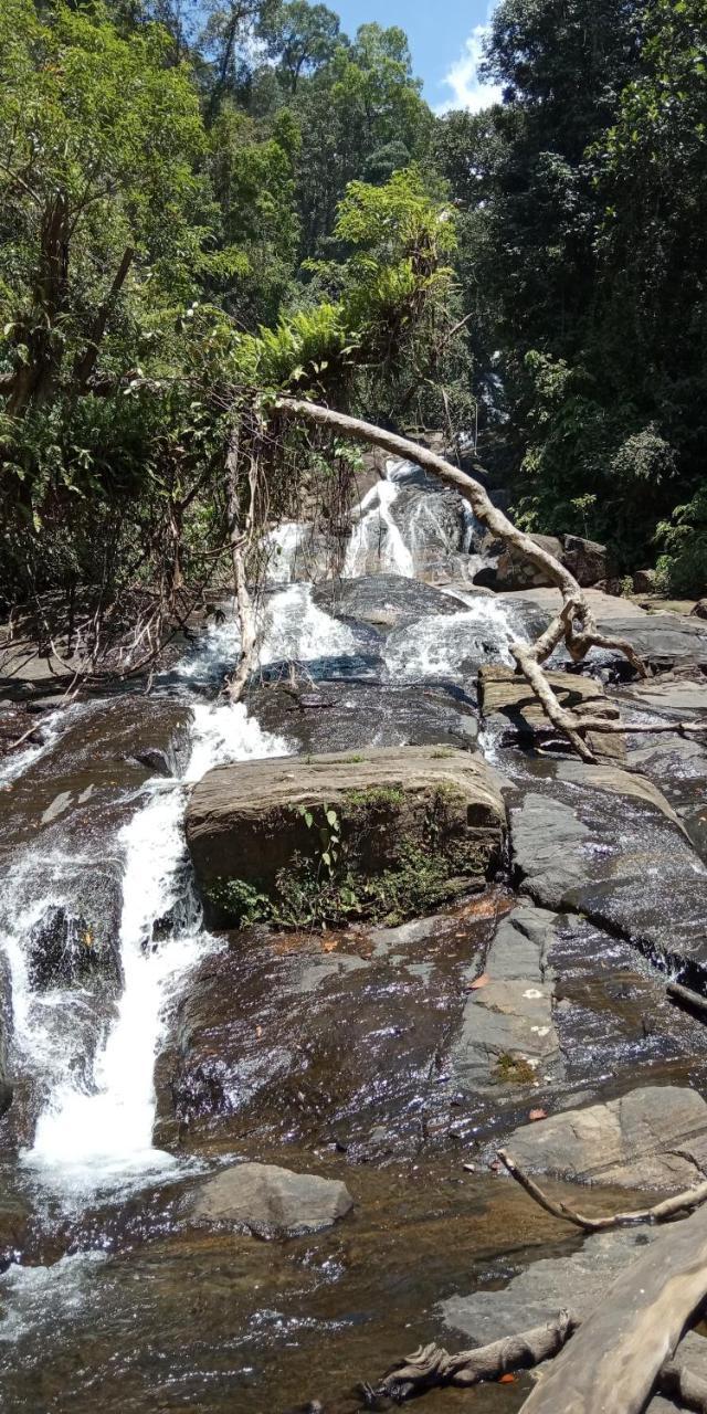 Sinharaja Hostel 114 Deniyaya Bagian luar foto
